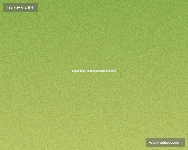 美网下半区四强已定 弗里茨能否终结十连败 阿卡晋级无悬念吗